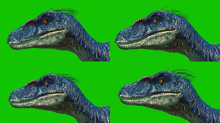 猛禽恐龙奔跑绿屏