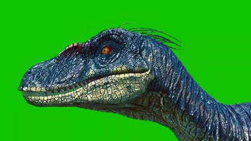 猛禽恐龙奔跑绿屏