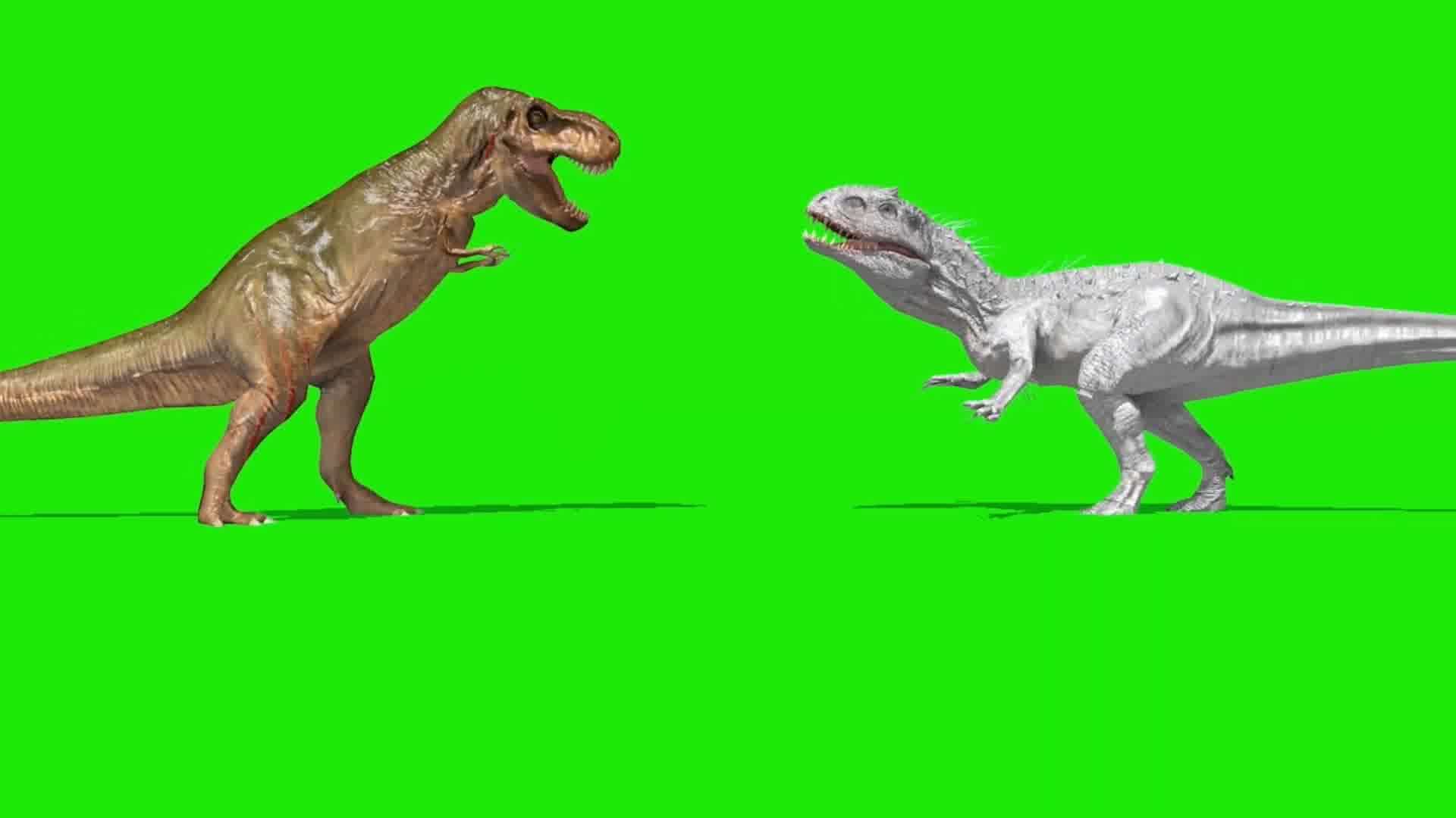 恐龙打架绿屏