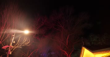 中央大街街景松花江-中央广场夜晚-欧式建 中央大街街景松花江-中央广场夜晚-欧式建