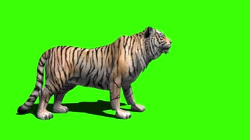 老虎绿屏