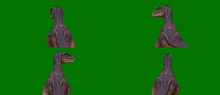 猛禽恐龙行走绿屏 (2)