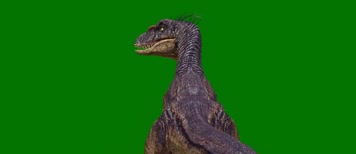 猛禽恐龙行走绿屏 (2)