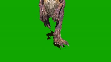 猛禽恐龙绿屏 (2)