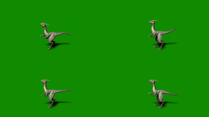 猛禽恐龙觅食绿屏