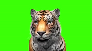 老虎绿屏