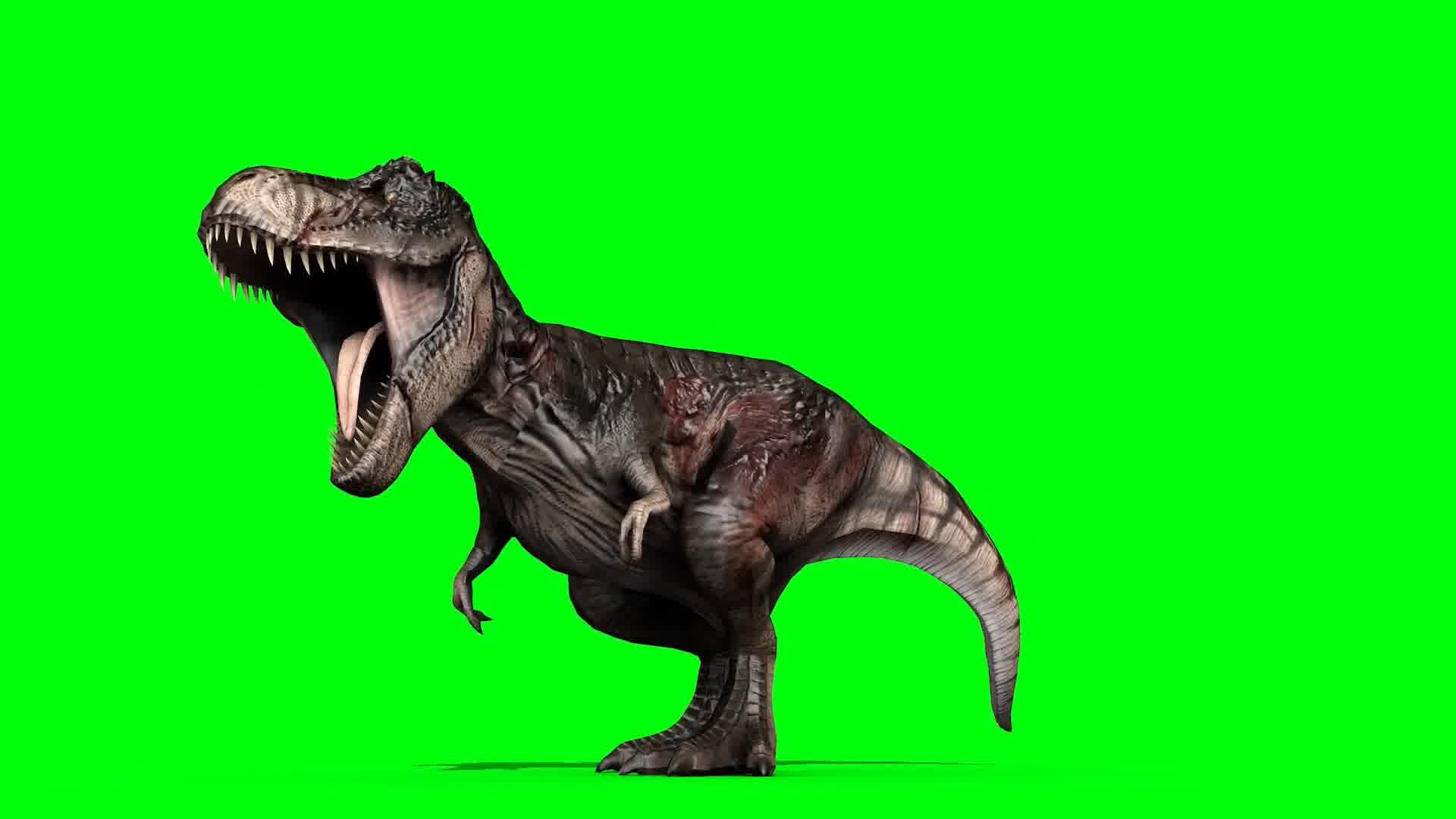 霸王龙咆哮绿屏 (6)