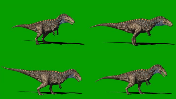 顶角龙行走绿屏