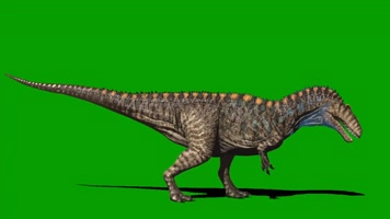 顶角龙行走绿屏