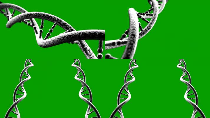 基因DNA绿屏