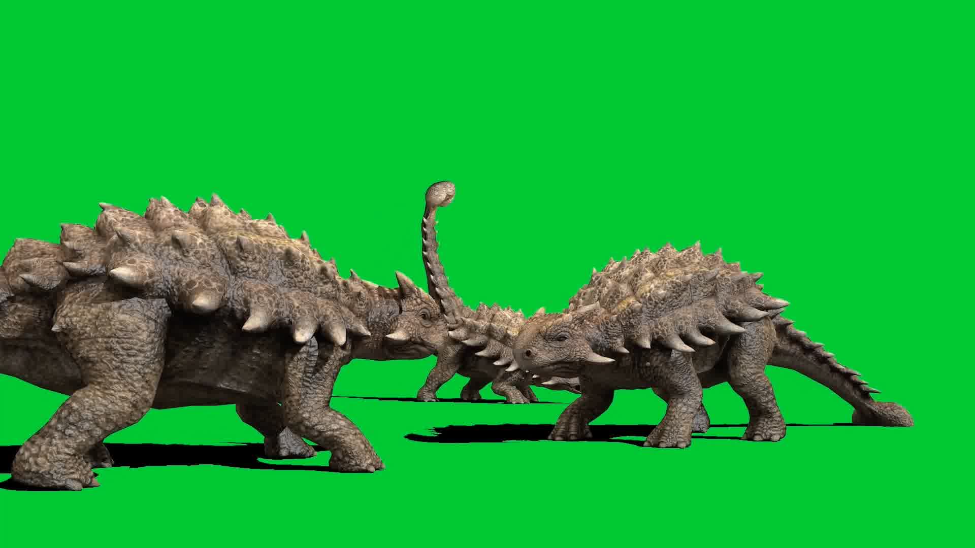 甲龙恐龙绿屏 (2)