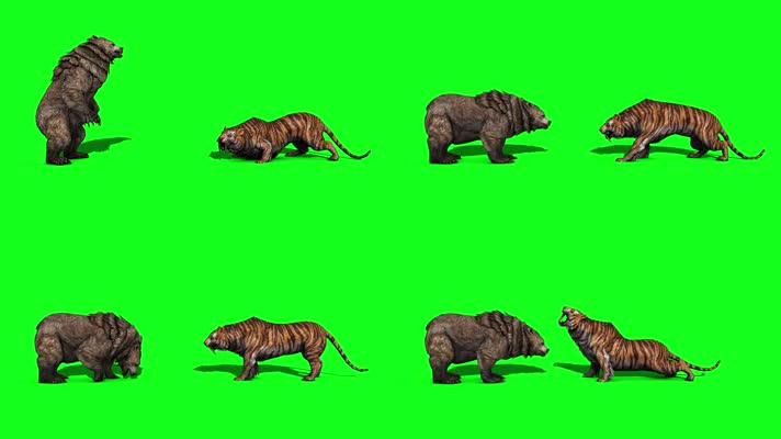 大熊大战老虎绿屏