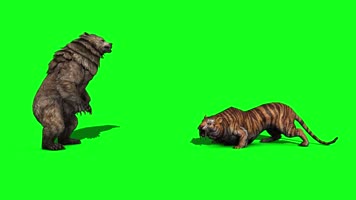 大熊大战老虎绿屏