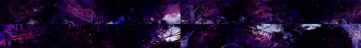 紫色森林8K