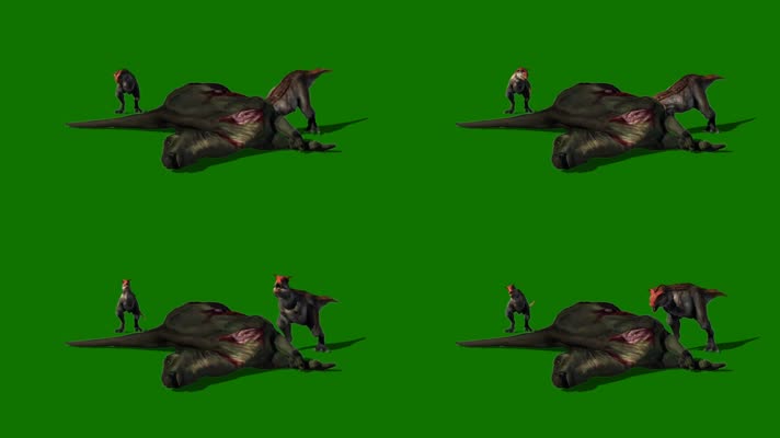 食肉牛龙吃食绿屏 (2)