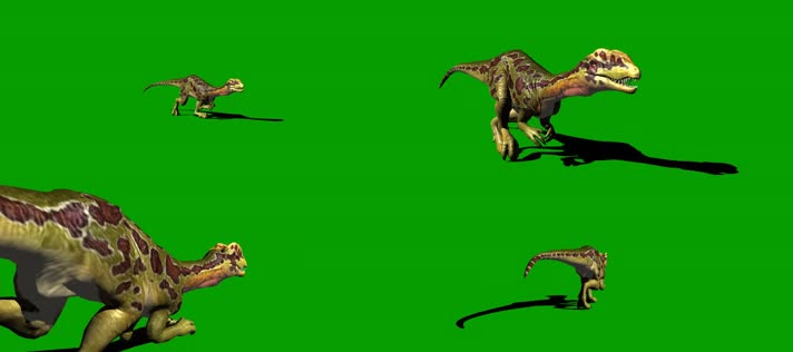 双冠龙奔跑绿屏