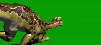 双冠龙奔跑绿屏