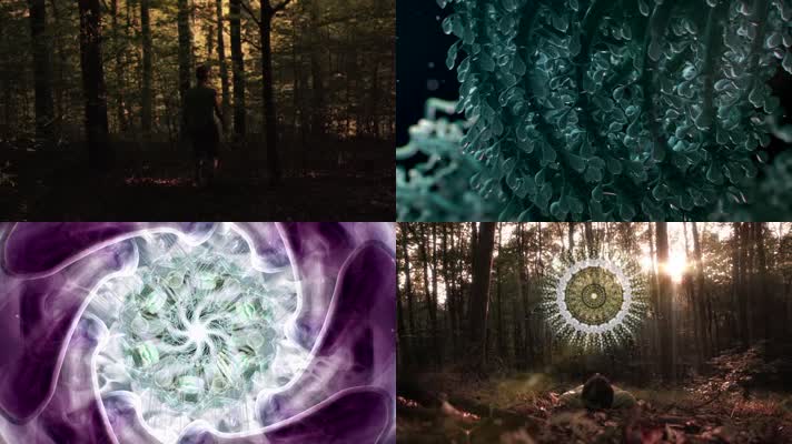 神秘森林 冥想 梦境 玄幻 魔幻 莫比乌