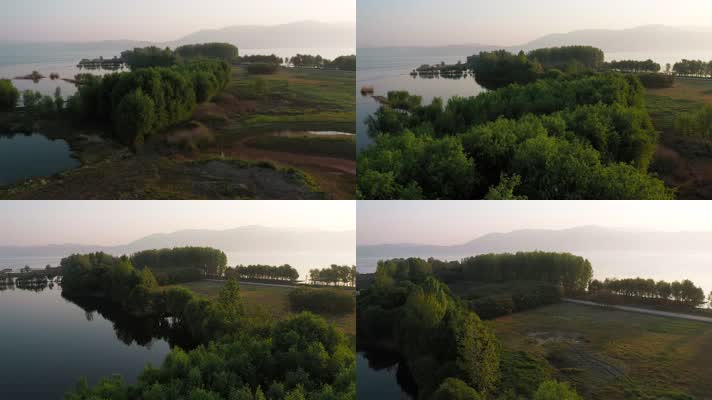 4k滇西风光视频高原湖泊湖边大树树林