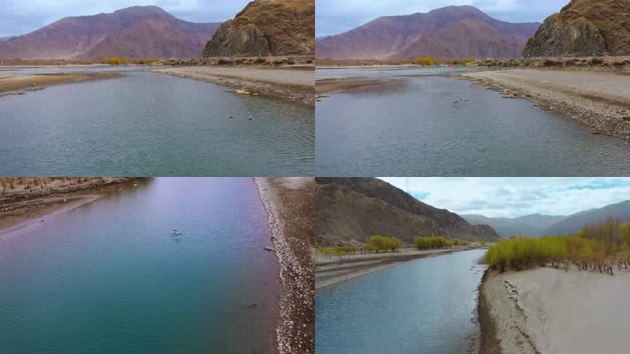 4k西藏风光视频尼洋河飞翔的水鸟