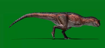 食肉牛龙奔跑绿屏