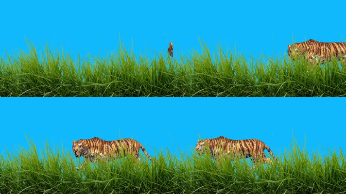 远古老虎绿屏
