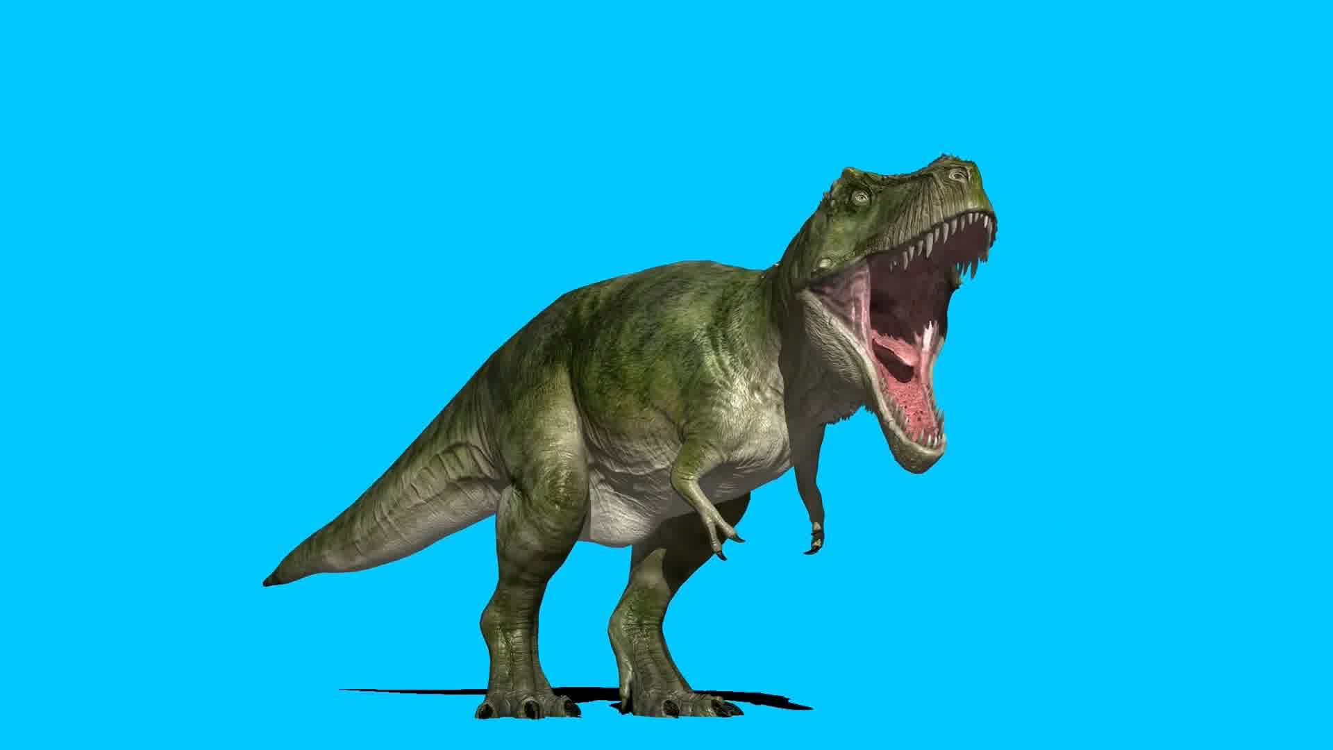 霸王龙行走咆哮绿屏