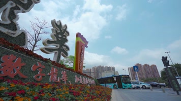 深圳龙华视频龙华文字花篮