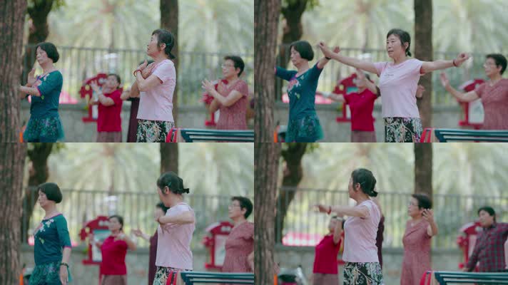 老年舞蹈视频广场舞大妈排练舞蹈老年妇女