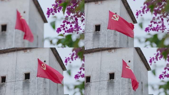 党旗视频鲜花下飘扬的党旗