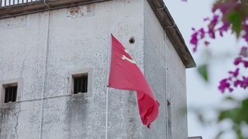 党旗视频鲜花下飘扬的党旗