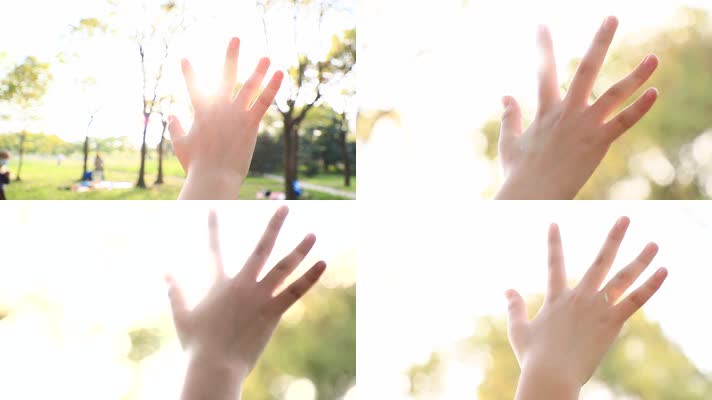 手指阳光