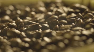 04咖啡豆粉烘焙logo标4k