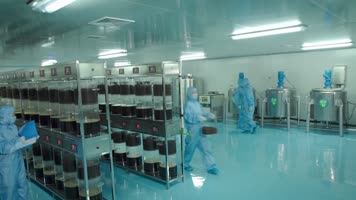 08咖啡萃取咖啡豆logo4k 08咖啡萃取咖啡豆logo4k