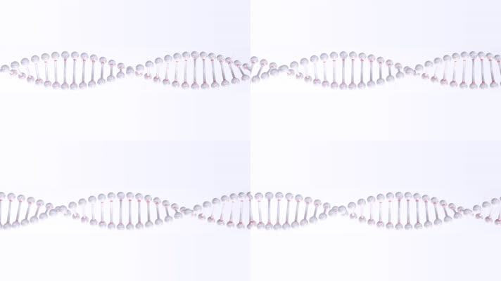DNA分子细胞结构