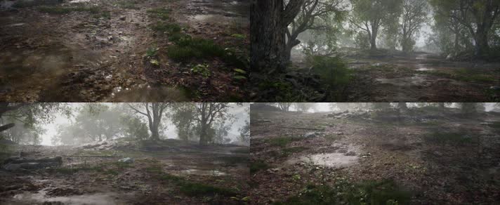 森林下雨3d动画，森林3d动画