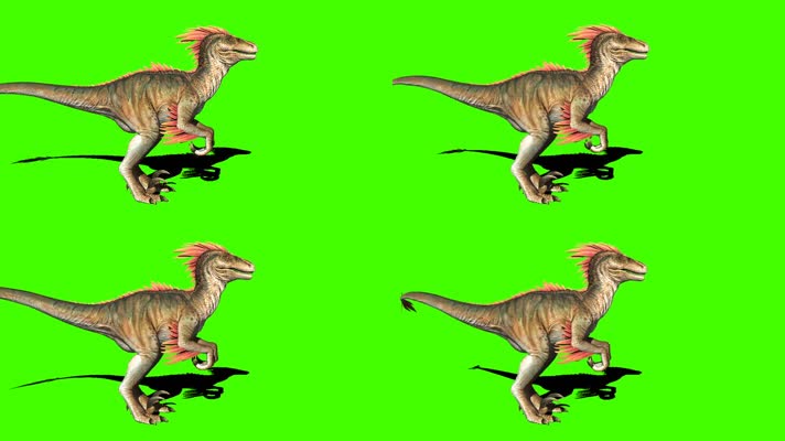 猛禽恐龙绿屏