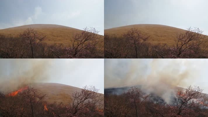 火烧山，森林火灾，森林大火消防员灭火