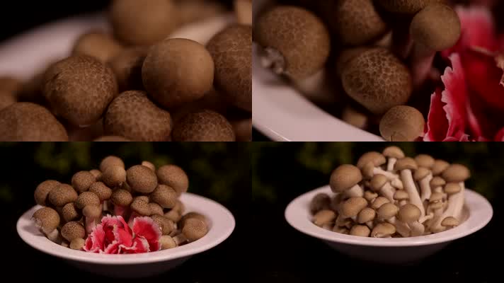 食品 食材 美食 蘑菇 白玉菇 榛蘑 海鲜菇 