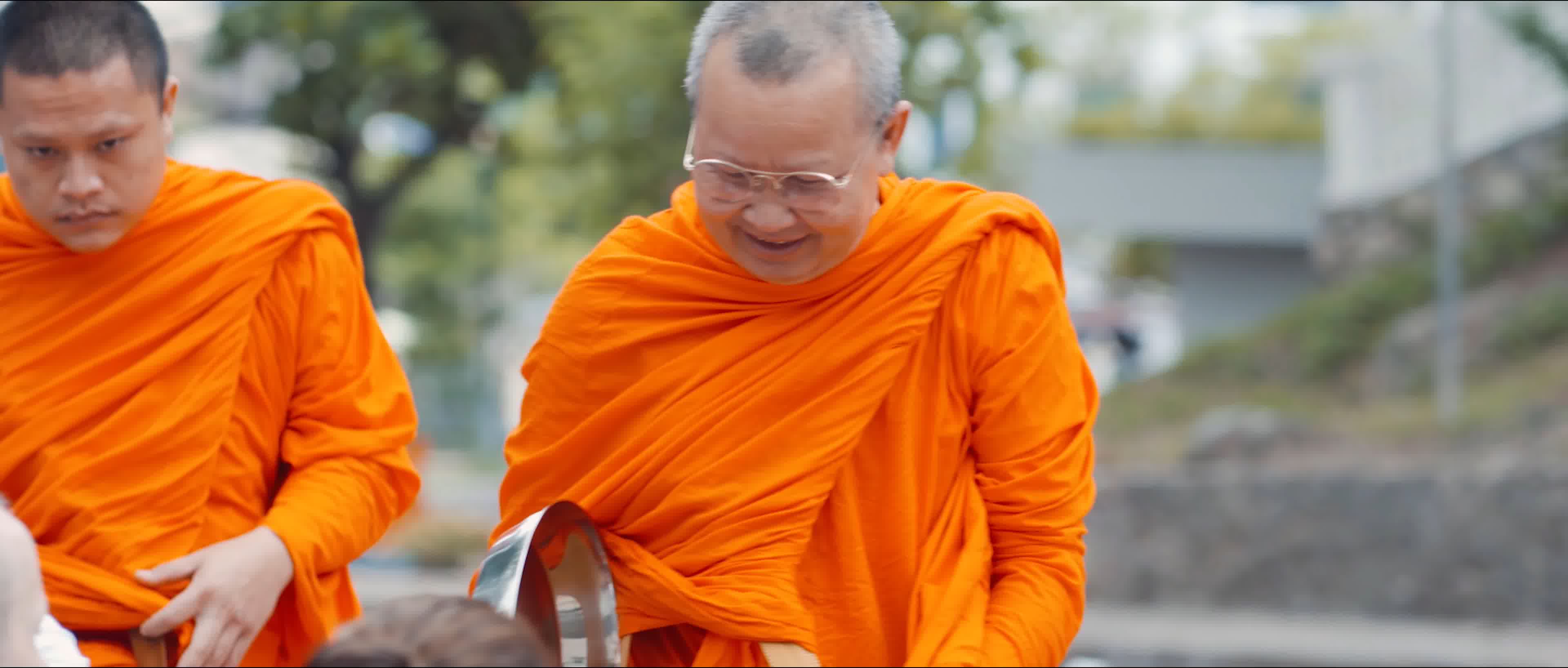 东南亚旅游，东南亚和尚施舍，亚洲大象