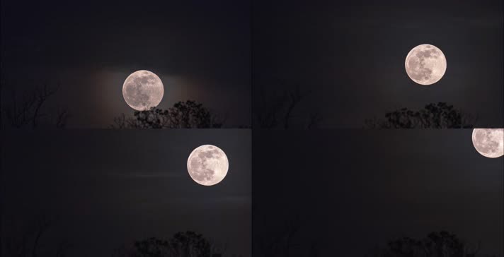 【4K】月亮升起