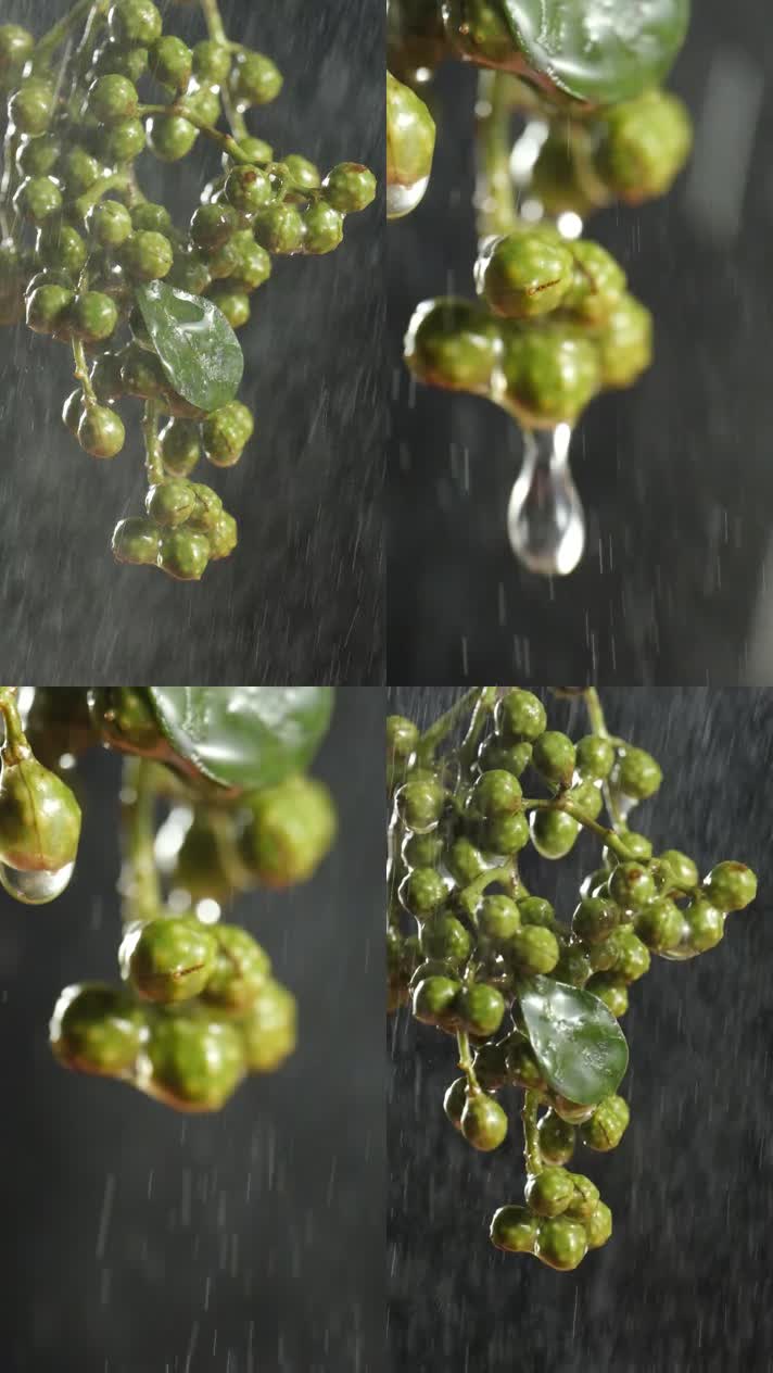 新鲜花椒 下雨 创意摄影