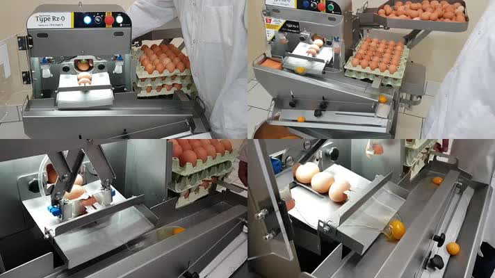 鸡蛋蛋液分离机