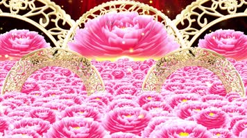 4K春节喜庆背景龚玥《好运来》