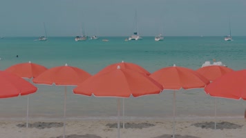 【4K】自然美景空镜