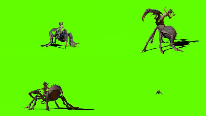 绿幕视频素材蜘蛛女王