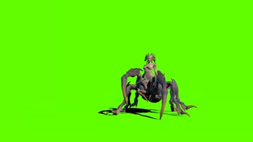 绿幕视频素材蜘蛛女王