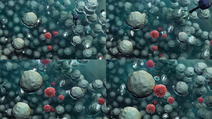 病毒细胞三维动画