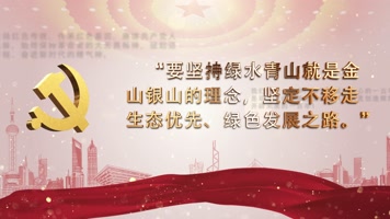 4K党政金句文字字幕片花