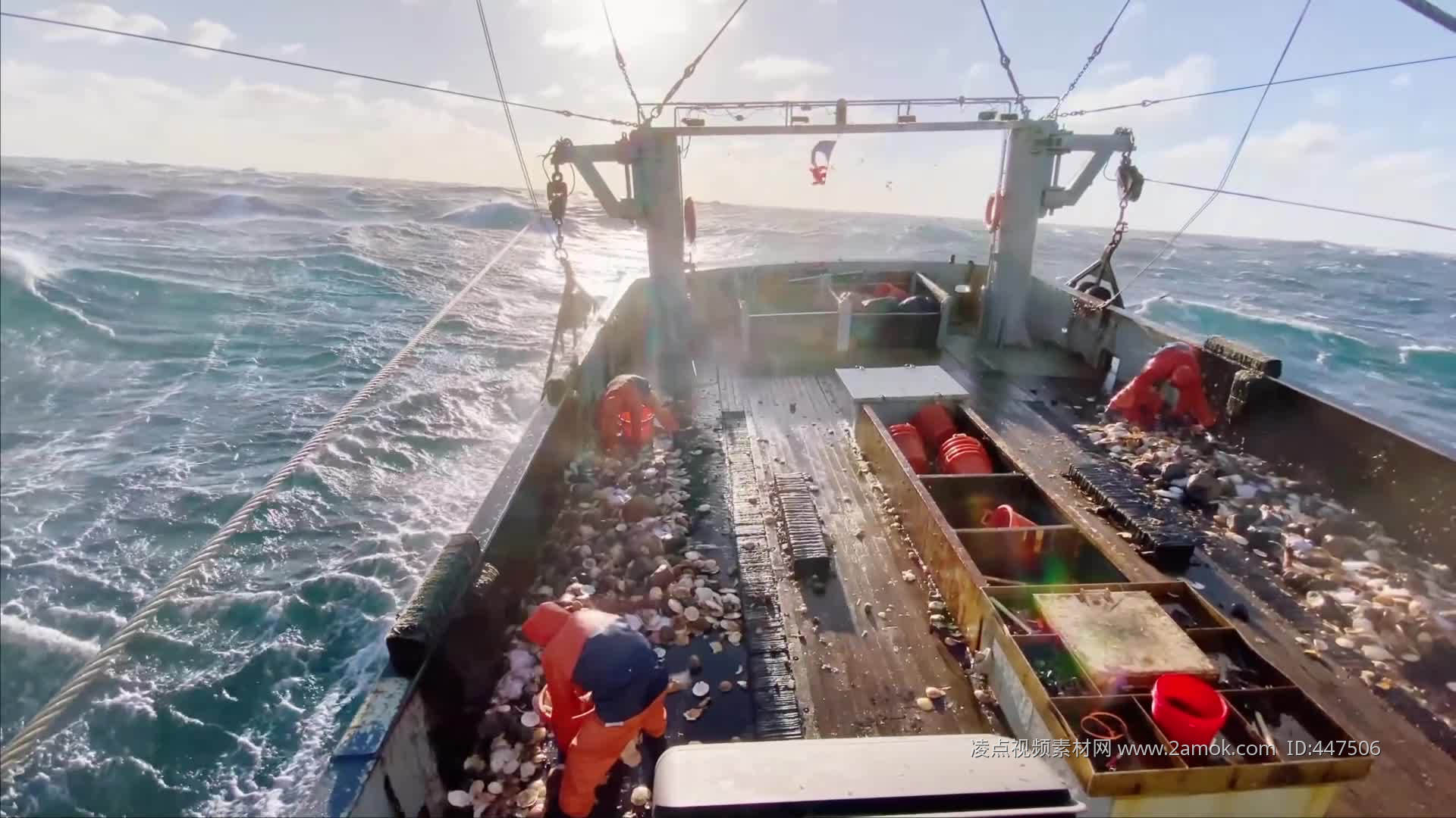 挪威渔民围网捕捞多春鱼群，千吨一网打尽装满船舱！_凤凰网视频_凤凰网
